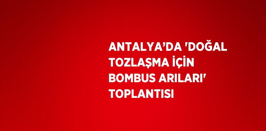 ANTALYA’DA 'DOĞAL TOZLAŞMA İÇİN BOMBUS ARILARI' TOPLANTISI