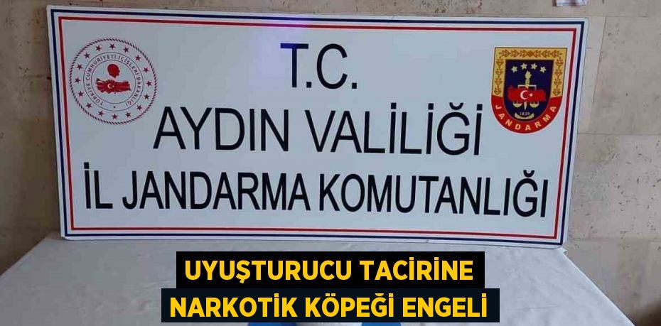 UYUŞTURUCU TACİRİNE NARKOTİK KÖPEĞİ ENGELİ