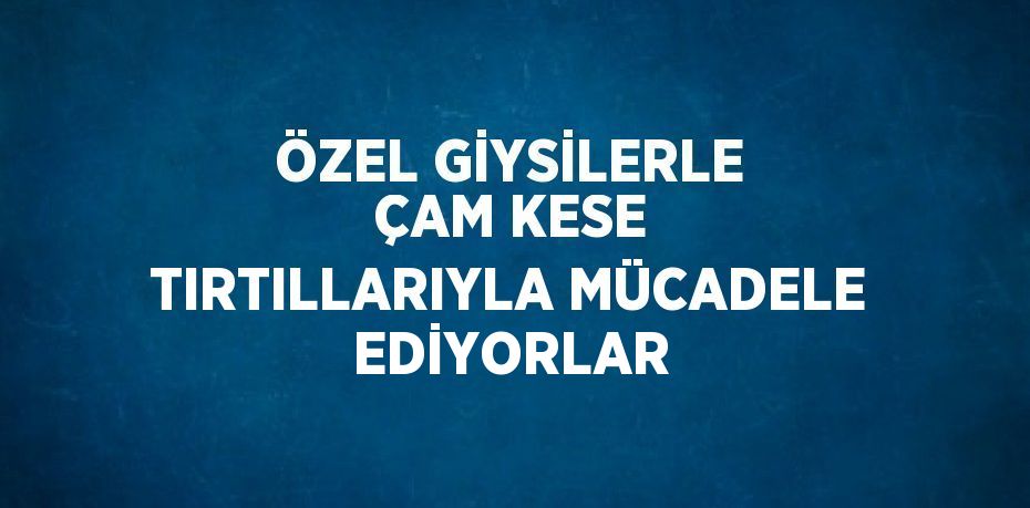 ÖZEL GİYSİLERLE ÇAM KESE TIRTILLARIYLA MÜCADELE EDİYORLAR