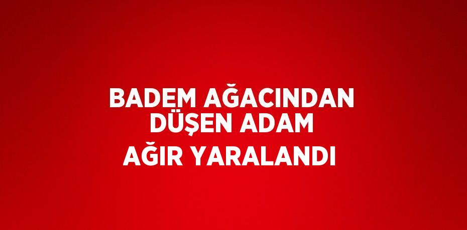 BADEM AĞACINDAN DÜŞEN ADAM AĞIR YARALANDI