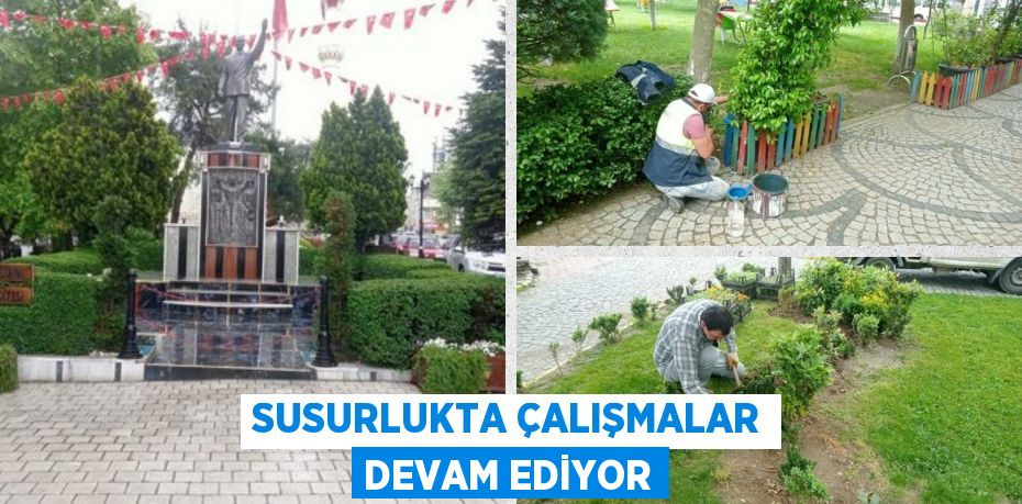 SUSURLUKTA ÇALIŞMALAR DEVAM EDİYOR