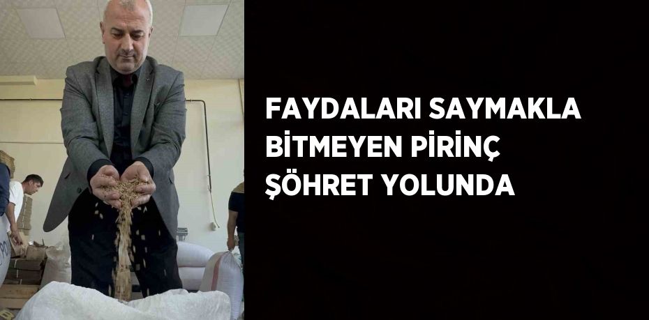 FAYDALARI SAYMAKLA BİTMEYEN PİRİNÇ ŞÖHRET YOLUNDA