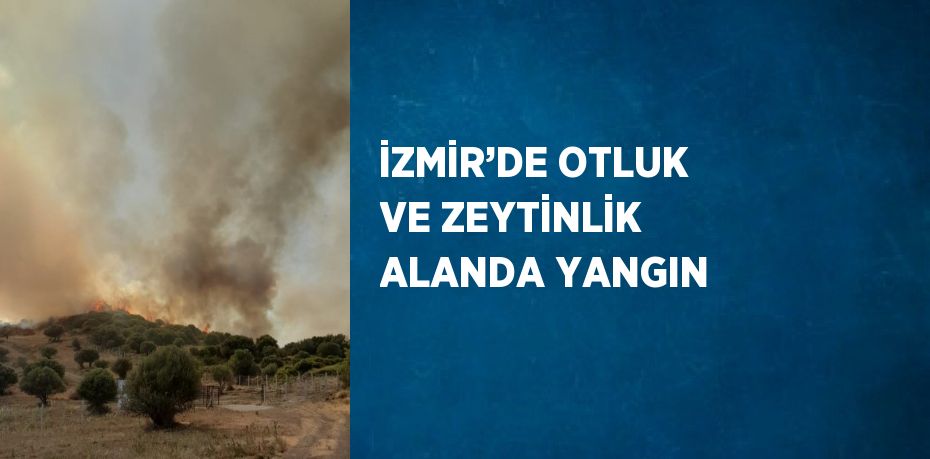 İZMİR’DE OTLUK VE ZEYTİNLİK ALANDA YANGIN