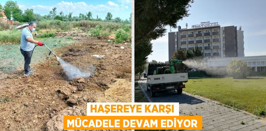 HAŞEREYE KARŞI MÜCADELE DEVAM EDİYOR