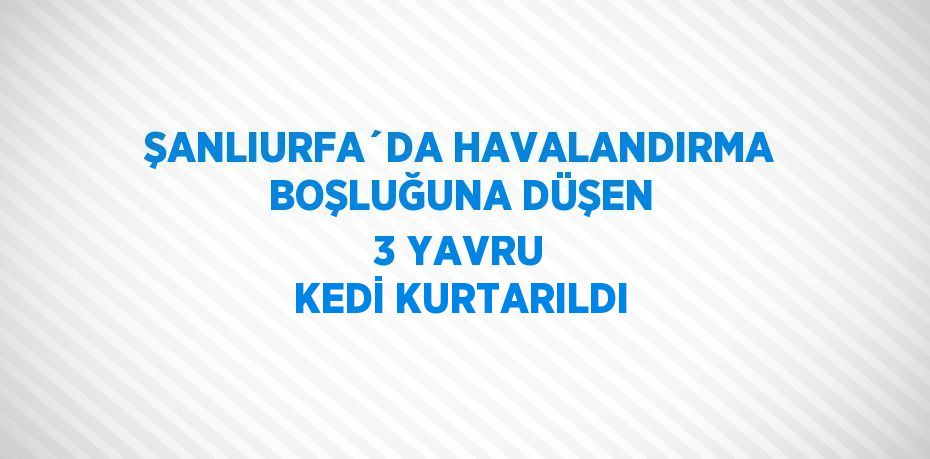 ŞANLIURFA´DA HAVALANDIRMA BOŞLUĞUNA DÜŞEN 3 YAVRU KEDİ KURTARILDI
