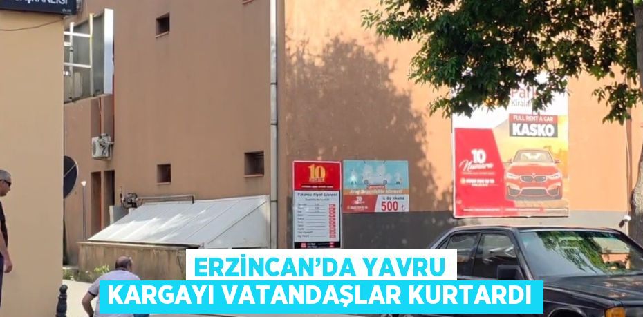 ERZİNCAN’DA YAVRU KARGAYI VATANDAŞLAR KURTARDI