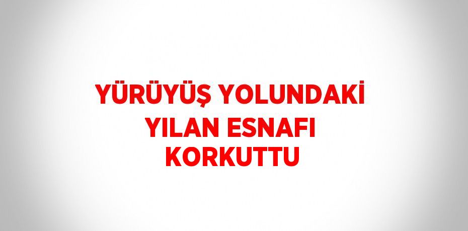 YÜRÜYÜŞ YOLUNDAKİ YILAN ESNAFI KORKUTTU