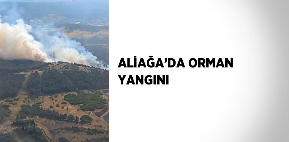 ALİAĞA’DA ORMAN YANGINI