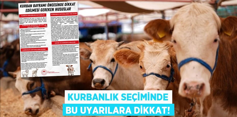 KURBANLIK SEÇİMİNDE BU UYARILARA DİKKAT!
