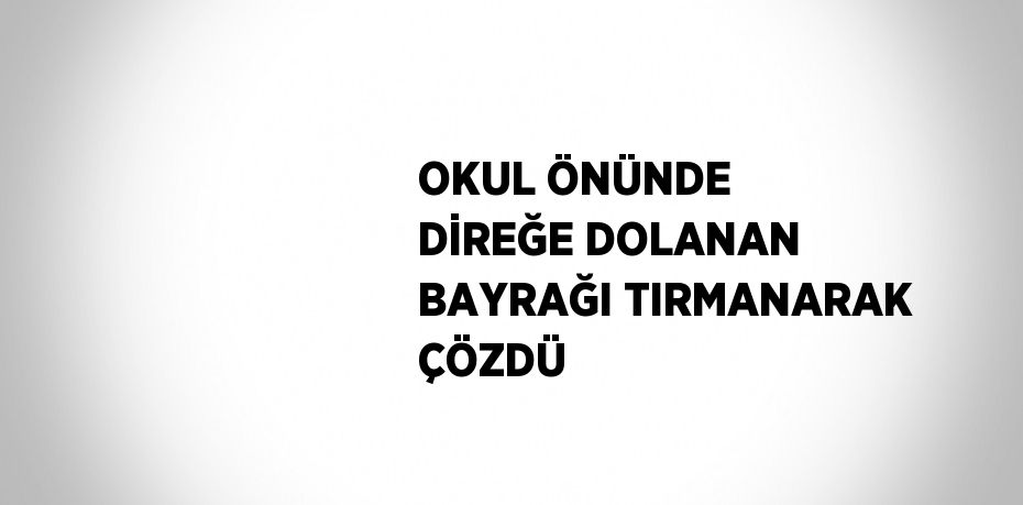 OKUL ÖNÜNDE DİREĞE DOLANAN BAYRAĞI TIRMANARAK ÇÖZDÜ