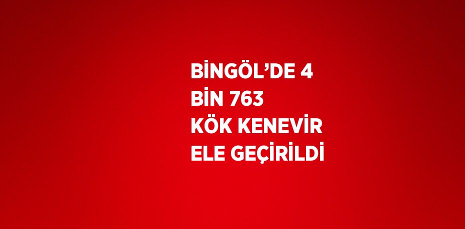BİNGÖL’DE 4 BİN 763 KÖK KENEVİR ELE GEÇİRİLDİ