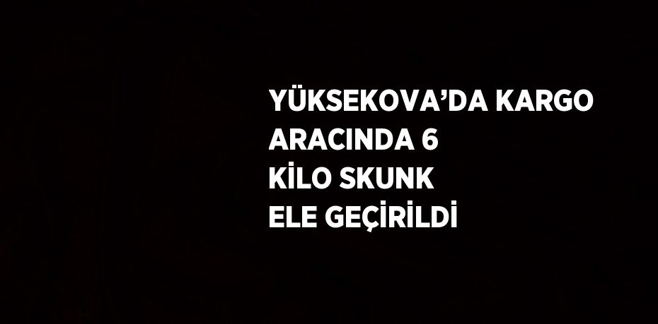 YÜKSEKOVA’DA KARGO ARACINDA 6 KİLO SKUNK ELE GEÇİRİLDİ
