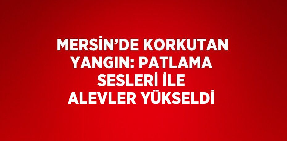 MERSİN’DE KORKUTAN YANGIN: PATLAMA SESLERİ İLE ALEVLER YÜKSELDİ
