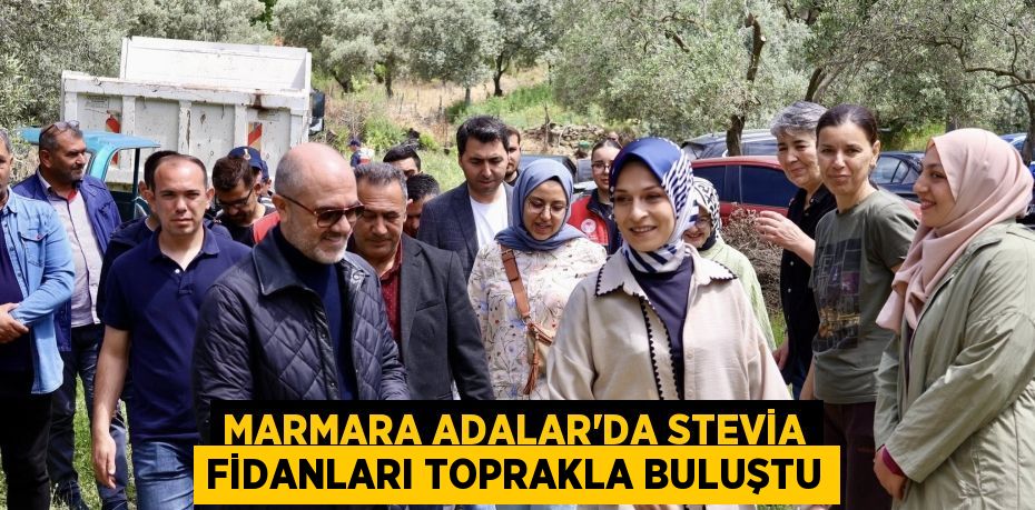 MARMARA ADALAR’DA STEVİA FİDANLARI TOPRAKLA BULUŞTU