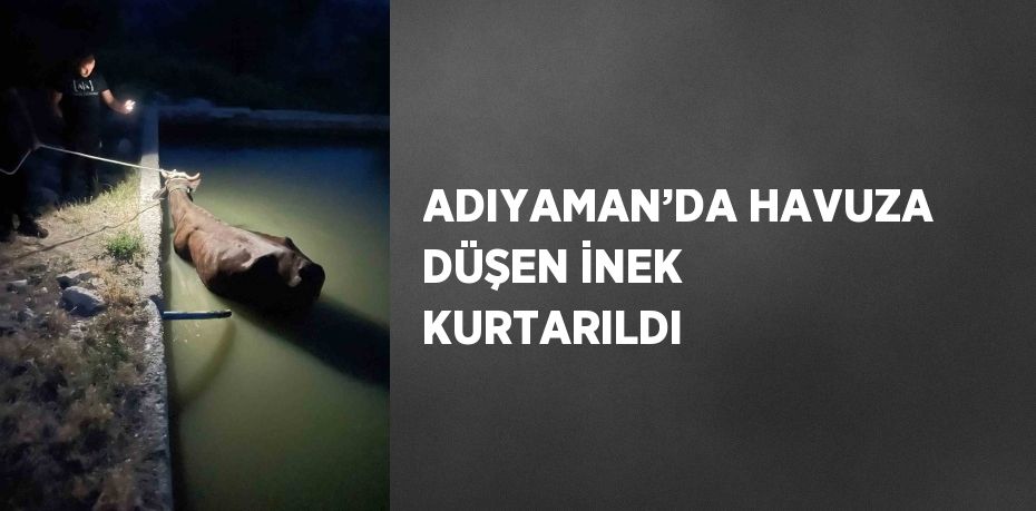 ADIYAMAN’DA HAVUZA DÜŞEN İNEK KURTARILDI