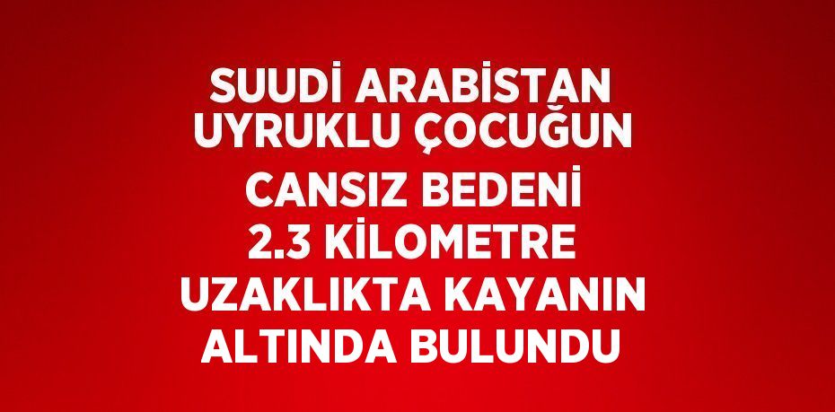 SUUDİ ARABİSTAN UYRUKLU ÇOCUĞUN CANSIZ BEDENİ 2.3 KİLOMETRE UZAKLIKTA KAYANIN ALTINDA BULUNDU