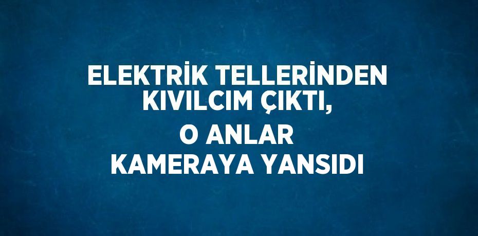 ELEKTRİK TELLERİNDEN KIVILCIM ÇIKTI, O ANLAR KAMERAYA YANSIDI