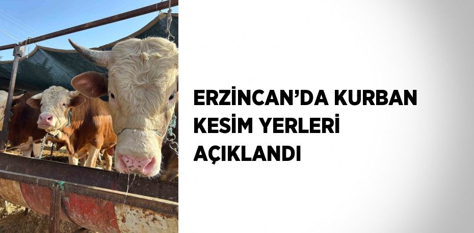 ERZİNCAN’DA KURBAN KESİM YERLERİ AÇIKLANDI