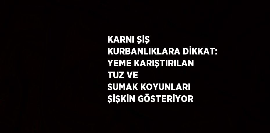 KARNI ŞİŞ KURBANLIKLARA DİKKAT: YEME KARIŞTIRILAN TUZ VE SUMAK KOYUNLARI ŞİŞKİN GÖSTERİYOR