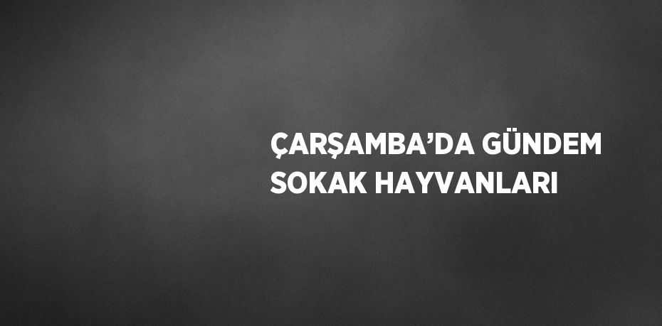 ÇARŞAMBA’DA GÜNDEM SOKAK HAYVANLARI