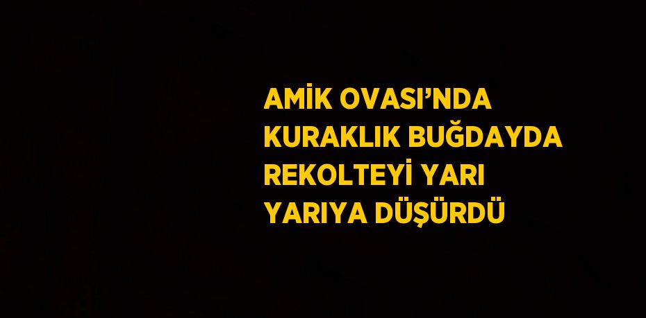 AMİK OVASI’NDA KURAKLIK BUĞDAYDA REKOLTEYİ YARI YARIYA DÜŞÜRDÜ