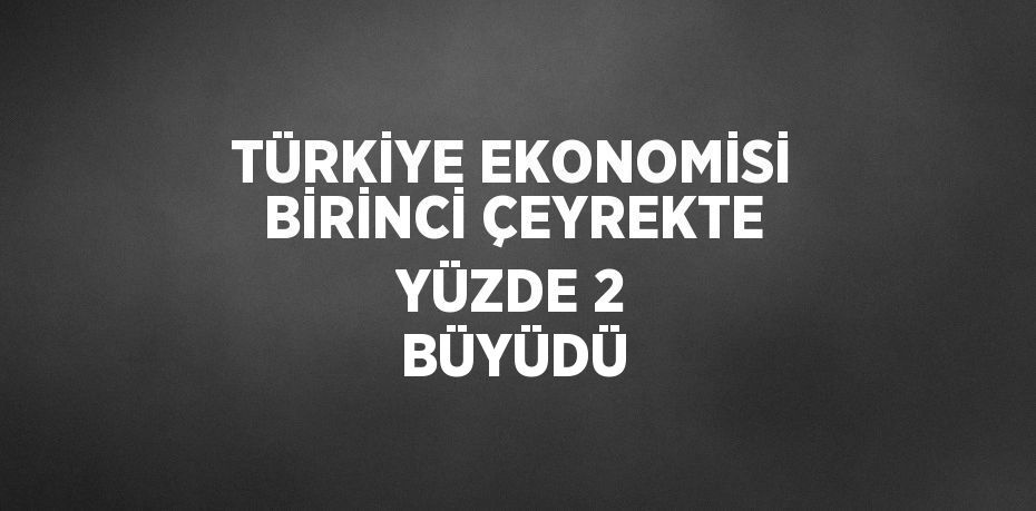 TÜRKİYE EKONOMİSİ BİRİNCİ ÇEYREKTE YÜZDE 2 BÜYÜDÜ