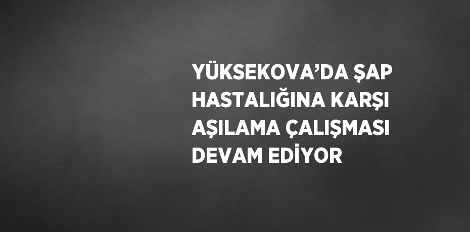 YÜKSEKOVA’DA ŞAP HASTALIĞINA KARŞI AŞILAMA ÇALIŞMASI DEVAM EDİYOR