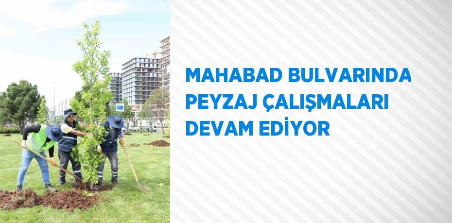 MAHABAD BULVARINDA PEYZAJ ÇALIŞMALARI DEVAM EDİYOR