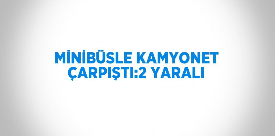 MİNİBÜSLE KAMYONET ÇARPIŞTI:2 YARALI