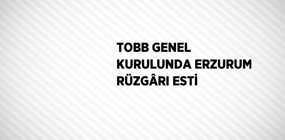 TOBB GENEL KURULUNDA ERZURUM RÜZGÂRI ESTİ