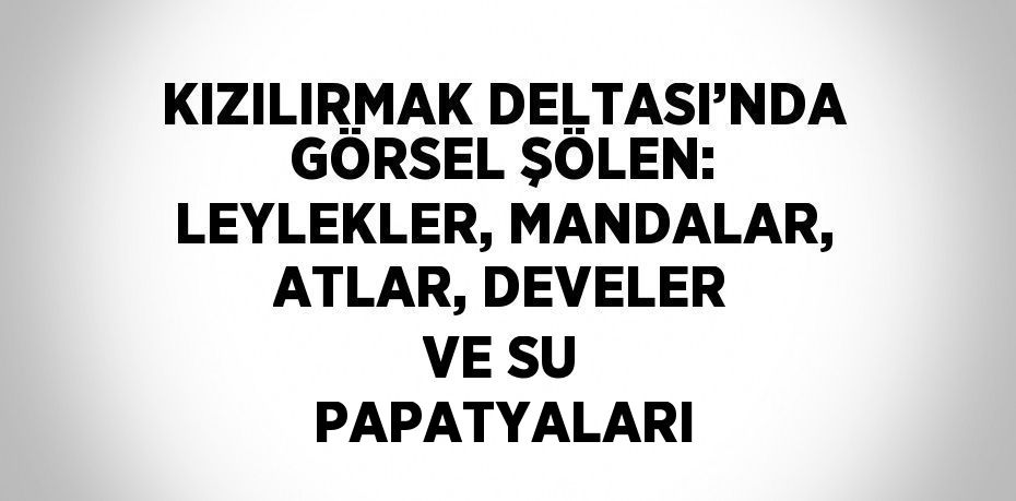 KIZILIRMAK DELTASI’NDA GÖRSEL ŞÖLEN: LEYLEKLER, MANDALAR, ATLAR, DEVELER VE SU PAPATYALARI