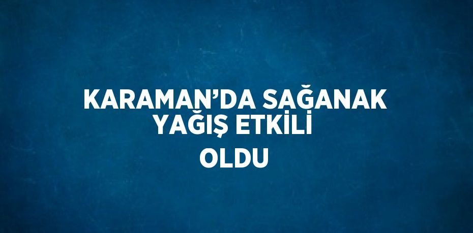 KARAMAN’DA SAĞANAK YAĞIŞ ETKİLİ OLDU