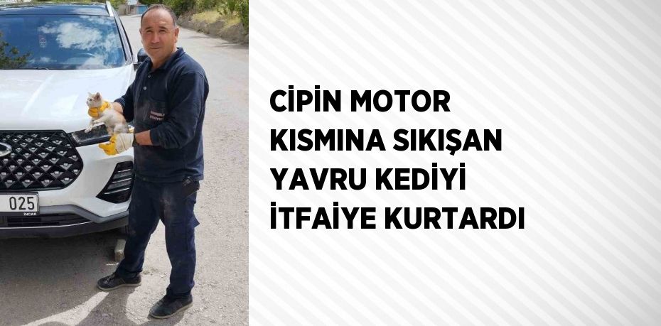 CİPİN MOTOR KISMINA SIKIŞAN YAVRU KEDİYİ İTFAİYE KURTARDI