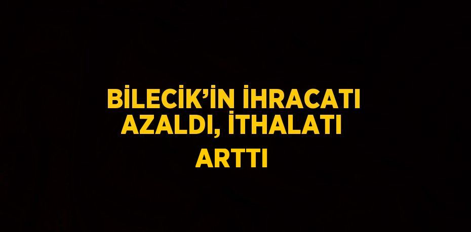 BİLECİK’İN İHRACATI AZALDI, İTHALATI ARTTI