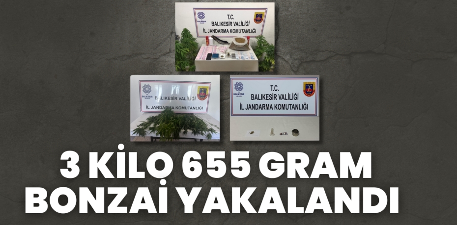 3 KİLO 655 GRAM BONZAİ YAKALANDI