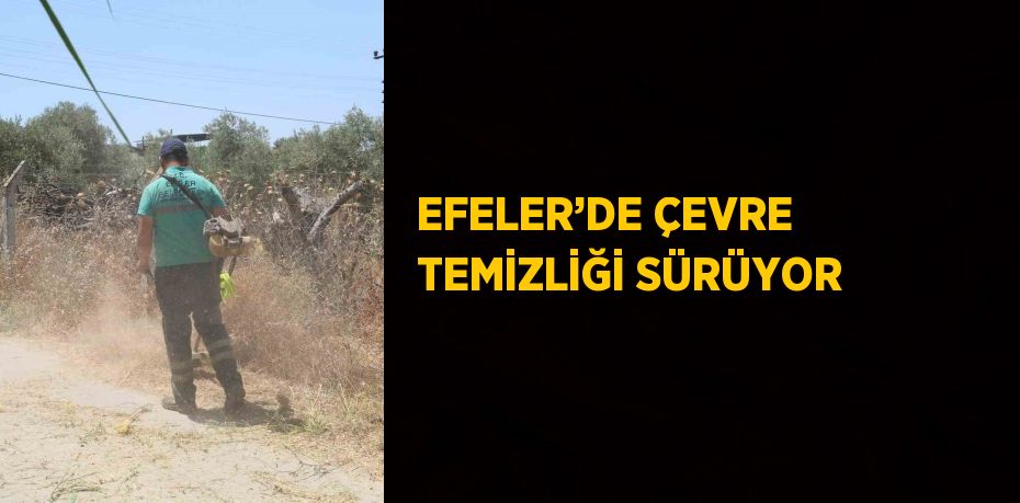 EFELER’DE ÇEVRE TEMİZLİĞİ SÜRÜYOR