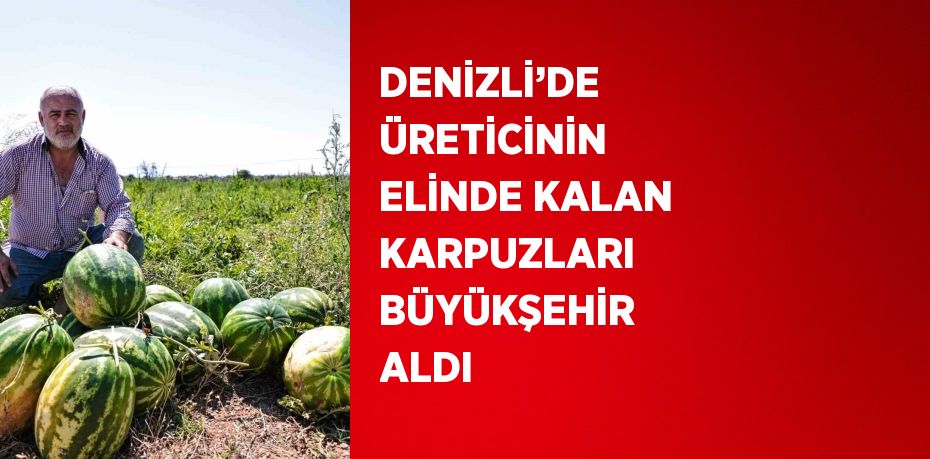 DENİZLİ’DE ÜRETİCİNİN ELİNDE KALAN KARPUZLARI BÜYÜKŞEHİR ALDI