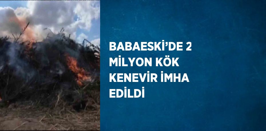 BABAESKİ’DE 2 MİLYON KÖK KENEVİR İMHA EDİLDİ