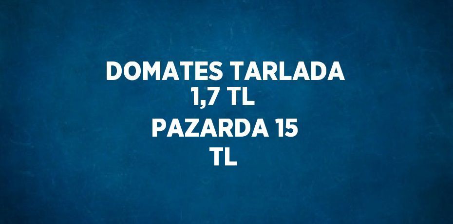 DOMATES TARLADA 1,7 TL PAZARDA 15 TL