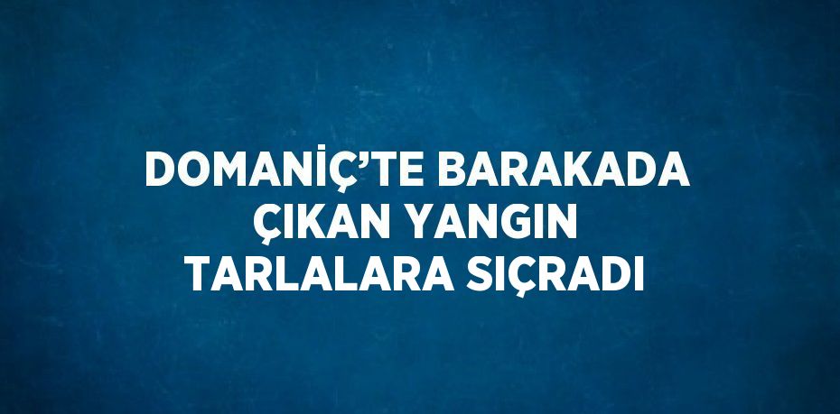 DOMANİÇ’TE BARAKADA ÇIKAN YANGIN TARLALARA SIÇRADI