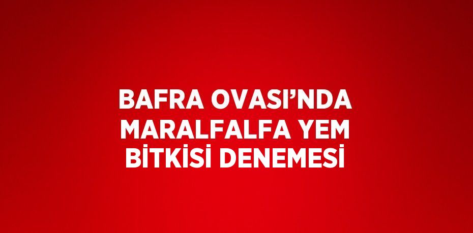 BAFRA OVASI’NDA MARALFALFA YEM BİTKİSİ DENEMESİ