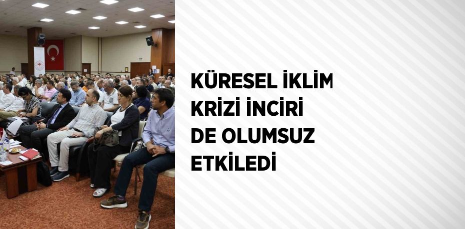 KÜRESEL İKLİM KRİZİ İNCİRİ DE OLUMSUZ ETKİLEDİ