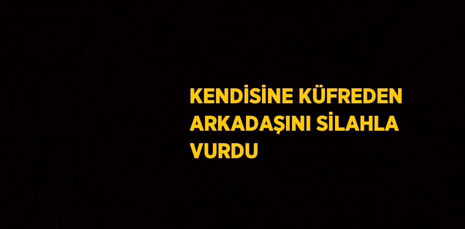 KENDİSİNE KÜFREDEN ARKADAŞINI SİLAHLA VURDU