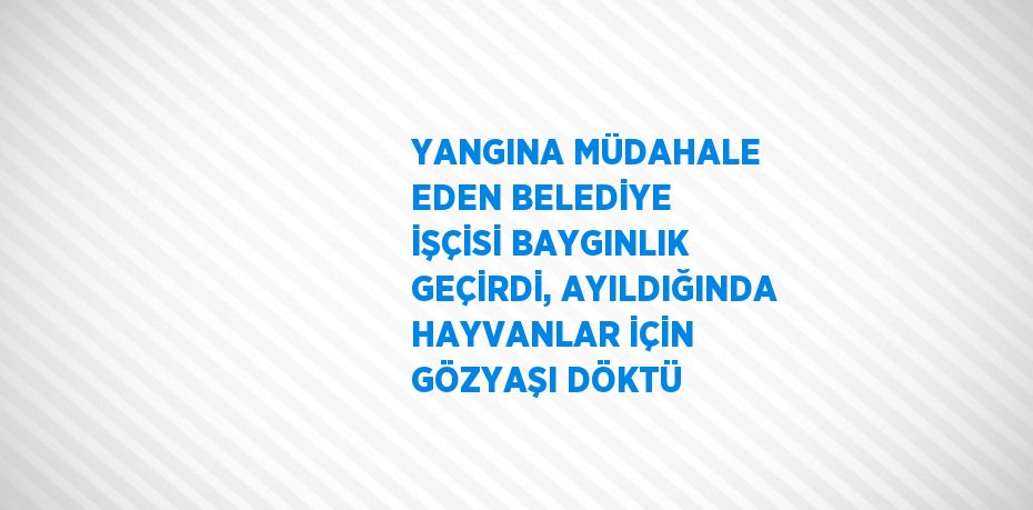 YANGINA MÜDAHALE EDEN BELEDİYE İŞÇİSİ BAYGINLIK GEÇİRDİ, AYILDIĞINDA HAYVANLAR İÇİN GÖZYAŞI DÖKTÜ