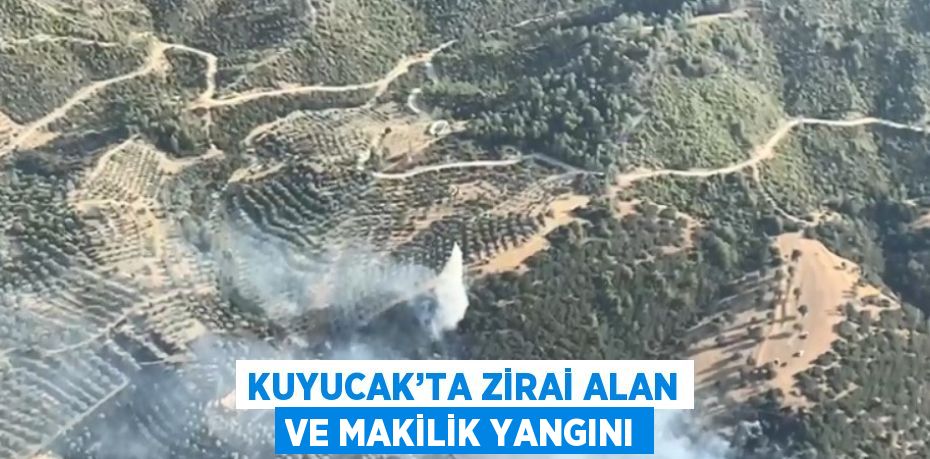 KUYUCAK’TA ZİRAİ ALAN VE MAKİLİK YANGINI