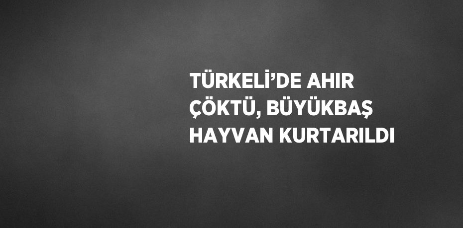 TÜRKELİ’DE AHIR ÇÖKTÜ, BÜYÜKBAŞ HAYVAN KURTARILDI