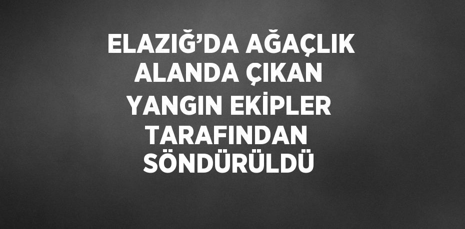 ELAZIĞ’DA AĞAÇLIK ALANDA ÇIKAN YANGIN EKİPLER TARAFINDAN  SÖNDÜRÜLDÜ