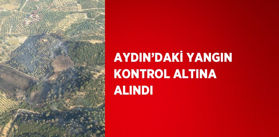 AYDIN’DAKİ YANGIN KONTROL ALTINA ALINDI