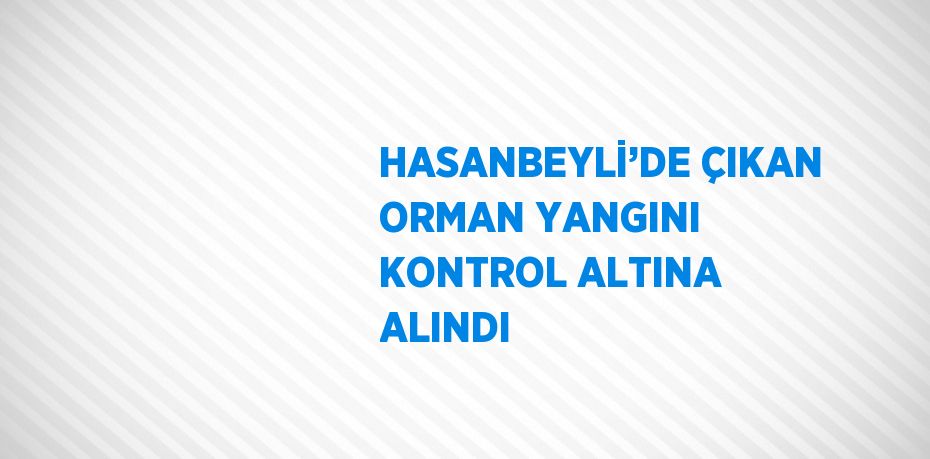 HASANBEYLİ’DE ÇIKAN ORMAN YANGINI KONTROL ALTINA ALINDI