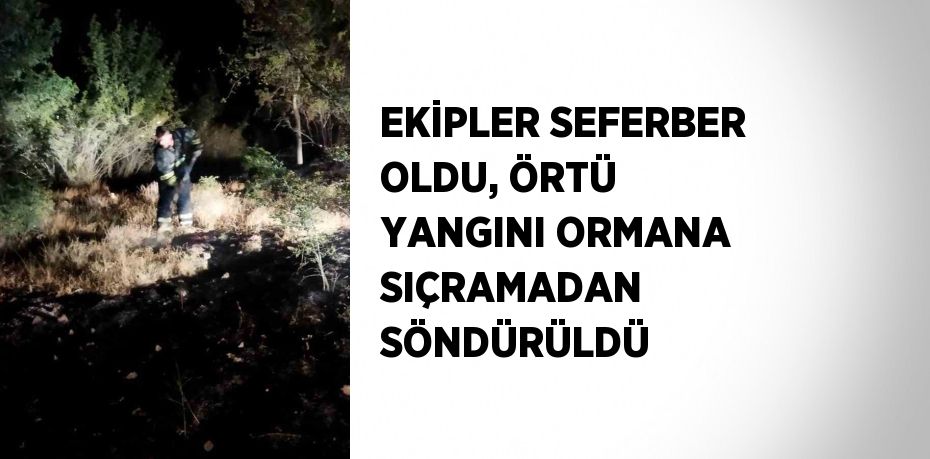 EKİPLER SEFERBER OLDU, ÖRTÜ YANGINI ORMANA SIÇRAMADAN SÖNDÜRÜLDÜ